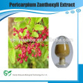 Bester Verkauf Pericarpium Zanthoxyli Extrakt